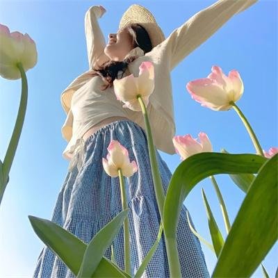 征服太阳